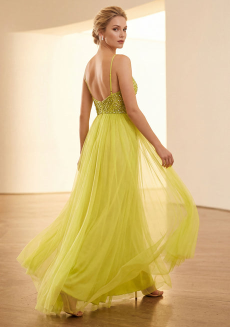 Alvisha Long Dress